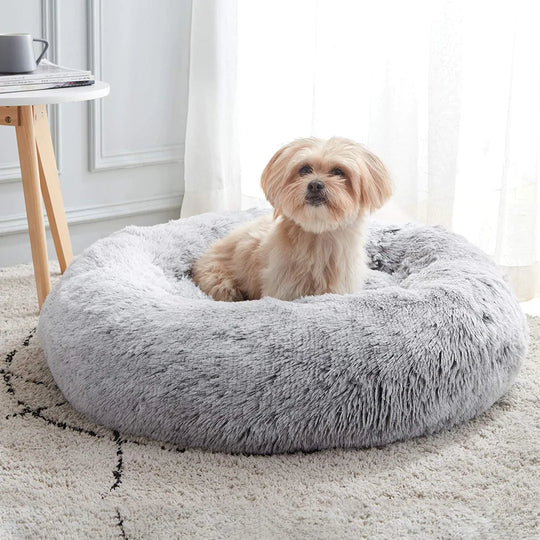 Relaxed Zipper Dog Bed